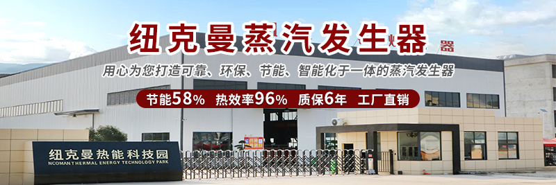 紐克曼蒸汽發(fā)生器的定義和原理