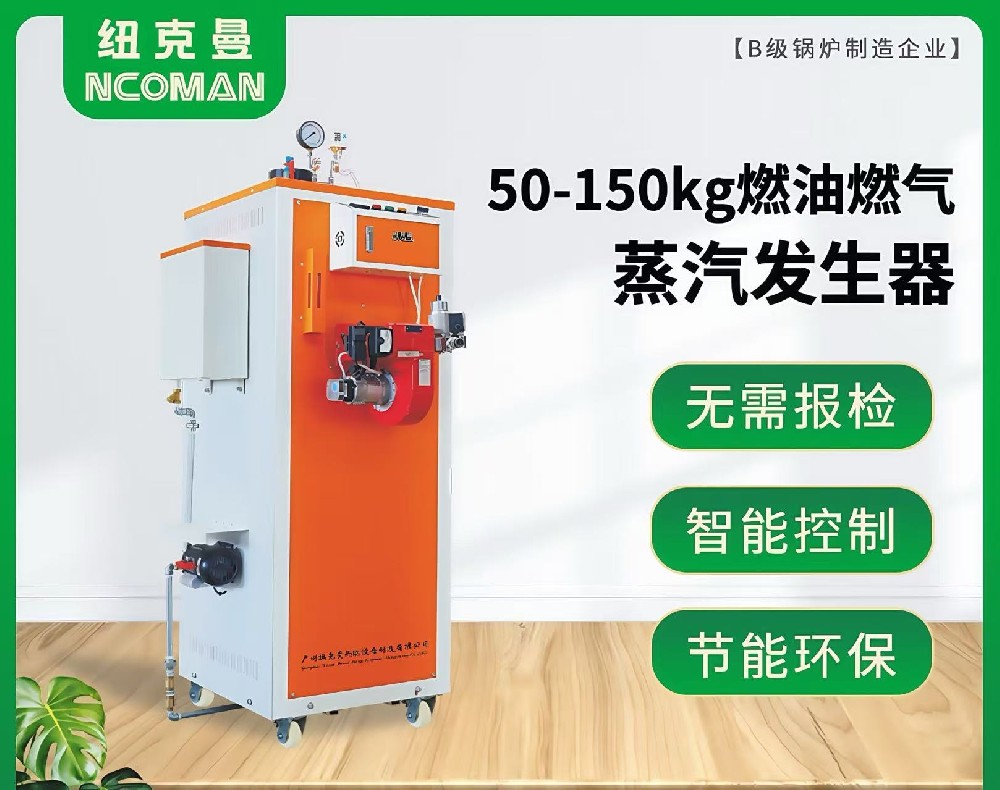 50kg-150kg燃?xì)馊加驼羝l(fā)生器